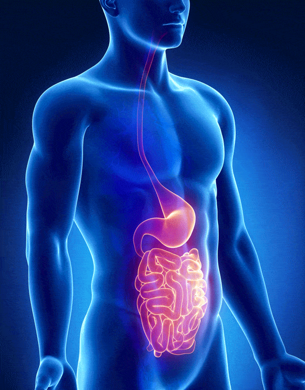 Colopathie fonctionnelle : définiton, causes et traitement